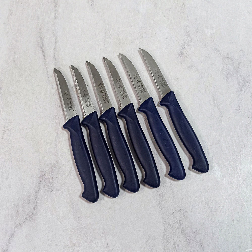 کارد میوه خوری اره ای کدPP101 حیدری(6عددی)