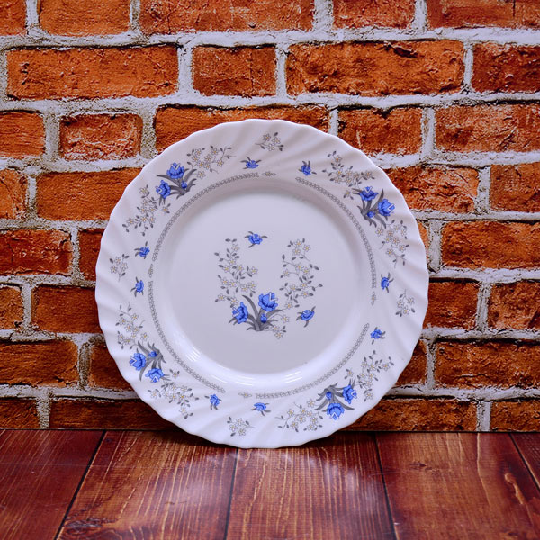 بشقاب تخت 250 کد120 پارس اپال