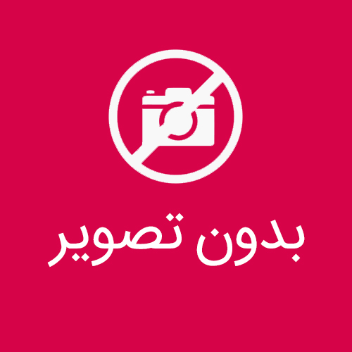 جا دستمال طرح پیوتر شاهکار آنتیک جاویدان