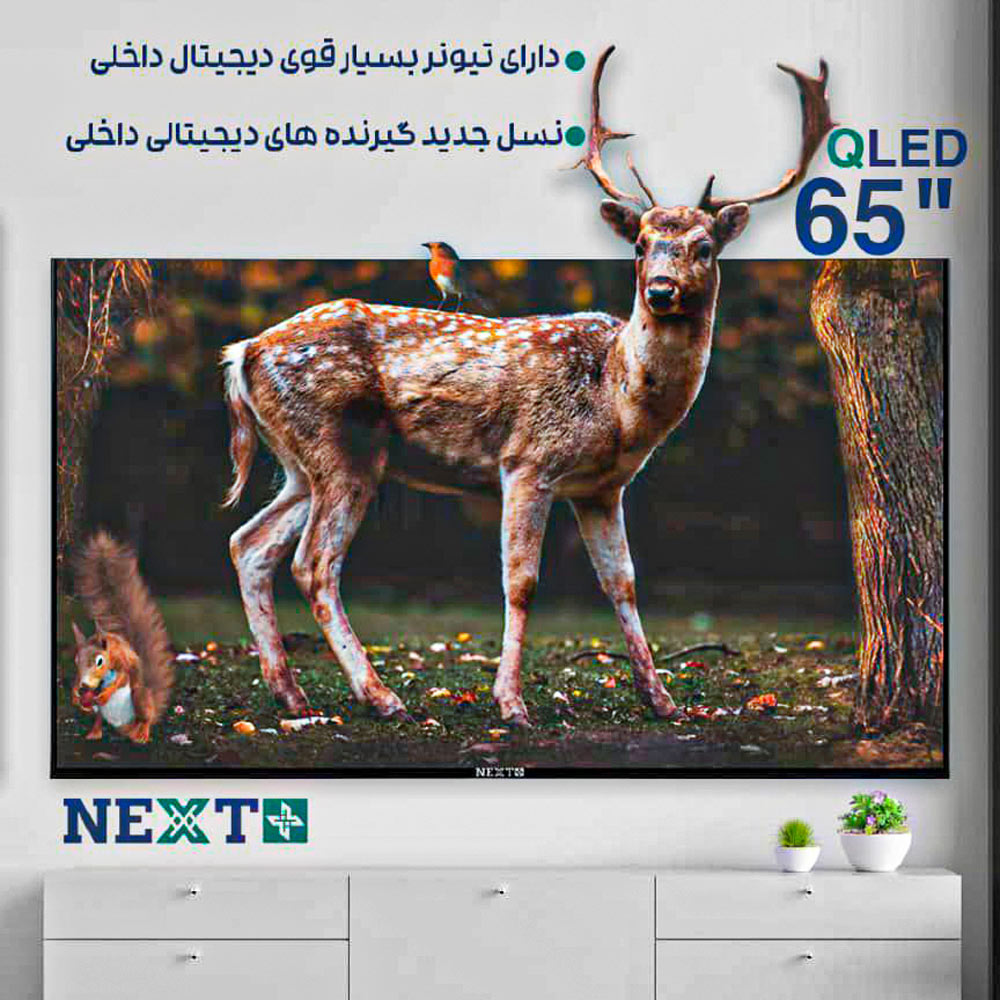 تلوزیون 65 اینچ NEXT PLUS